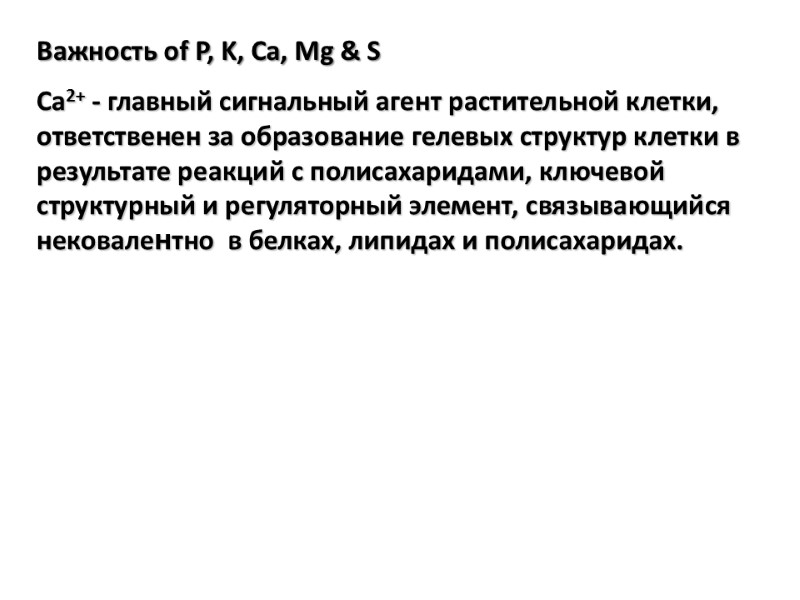 Важность of P, K, Ca, Mg & S  Ca2+ - главный сигнальный агент
